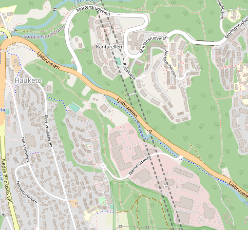 Bjørnerud